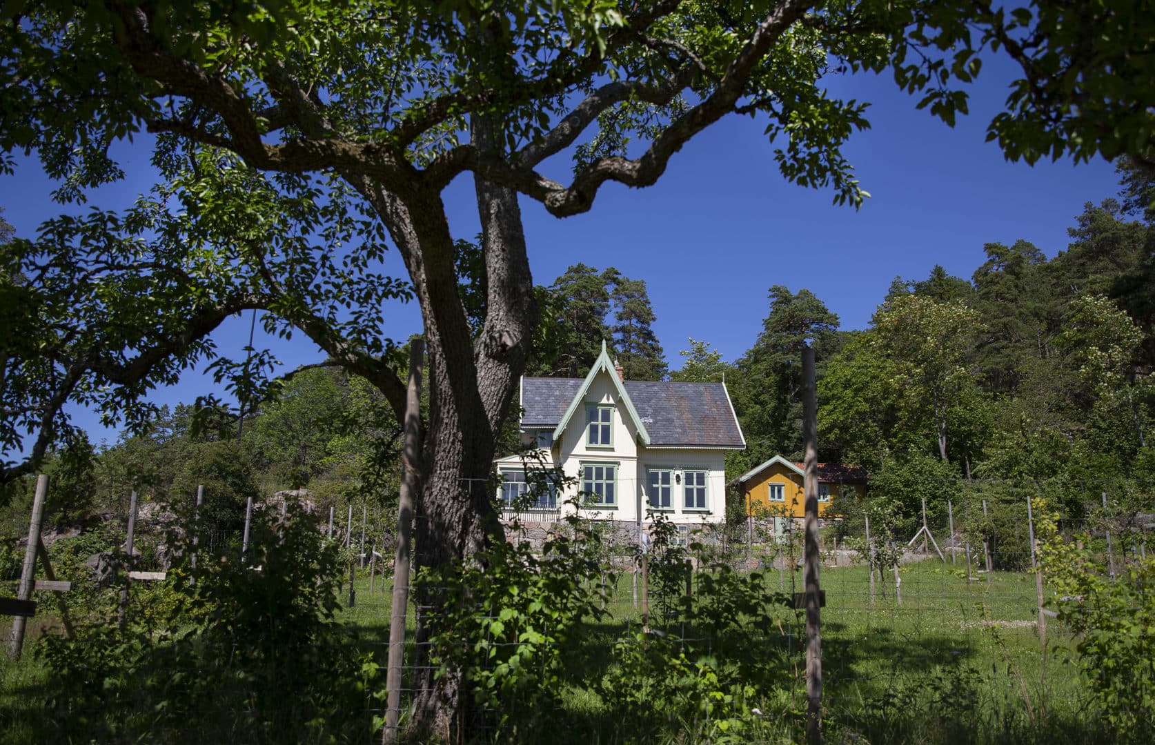 Edvard Munchs hjem, Nedre Ramme, eller Muncheramme, i Hvitsten.